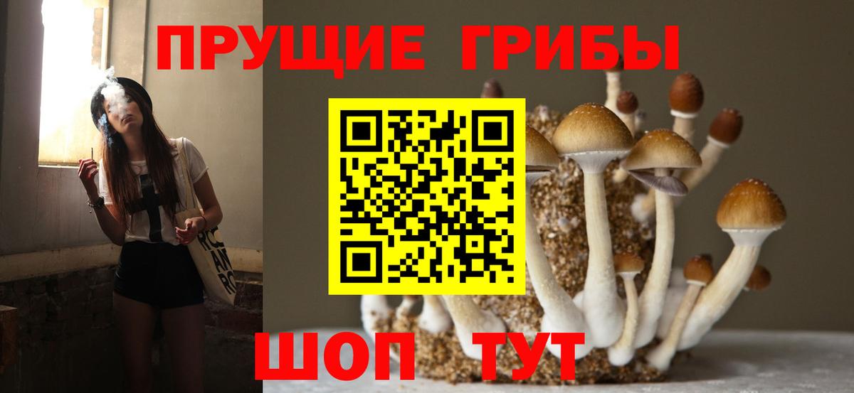 Галлюциногенные грибы прущие грибы Новоалтайск